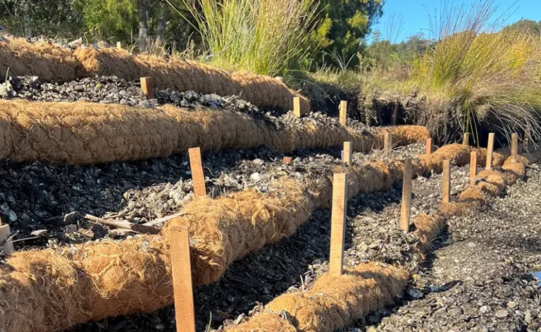 COIR LOGS